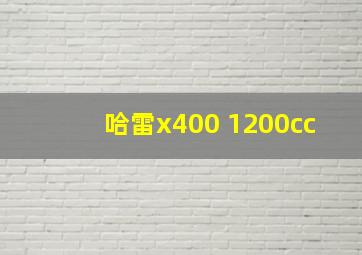 哈雷x400 1200cc